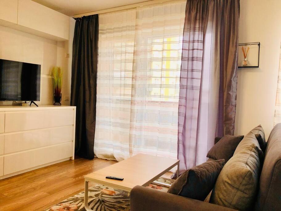 Joy Stefan Baciu 9 Apartment *